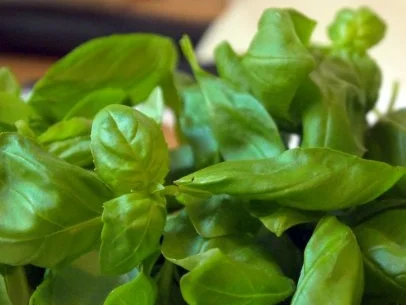 Spaghetti mit Walnusspesto-Sahne - Rezept - Bild Nr. 3