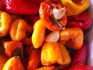 Lammkarrees mit Rippenknochen - Rezept - Bild Nr. 2