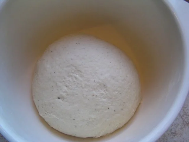 Rezept: Pesto-Schnecken Bild Nr. 2 Pesto-Schnecken - Rezept - Bild Nr. 2