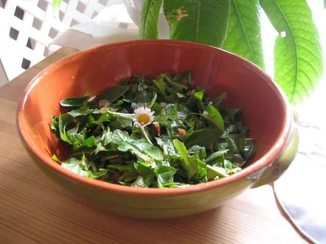 Rezept: Erzgebirgischer Löwenzahnsalat Erzgebirgischer Löwenzahnsalat - Rezept