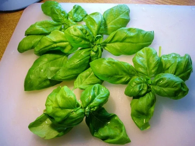 Ricotta-Tortellini... - Rezept - Bild Nr. 3