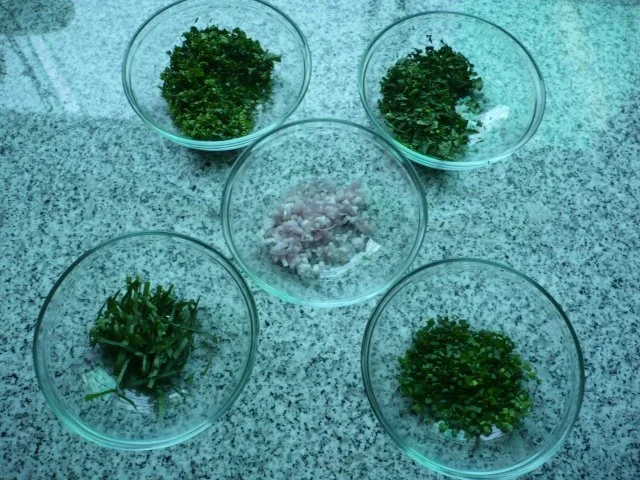 Dinkelspaghetti mit Kräuterrahmschaum - Rezept - Bild Nr. 3