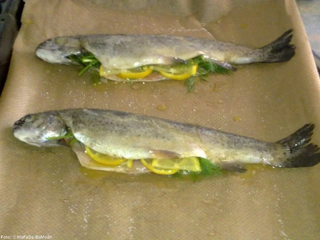 Rezept: Gebackene Dill-Forellen Bild Nr. 2 Gebackene Dill-Forellen - Rezept - Bild Nr. 2