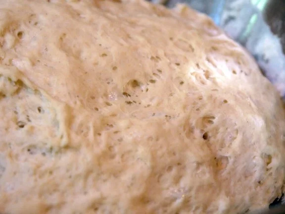 Focaccia - Rezept - Bild Nr. 5