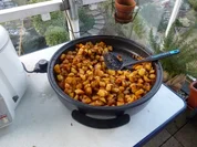 Patatas Bravas - Rezept