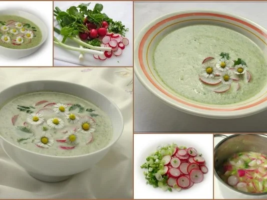 ~✿~  Radieschensuppe mit Gänseblümchen  ~✿~ - Rezept - Bild Nr. 3