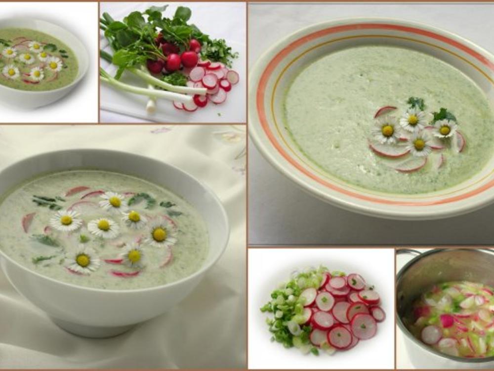 Radieschensuppe mit Gänseblümchen ~ ~ - Rezept - kochbar.de