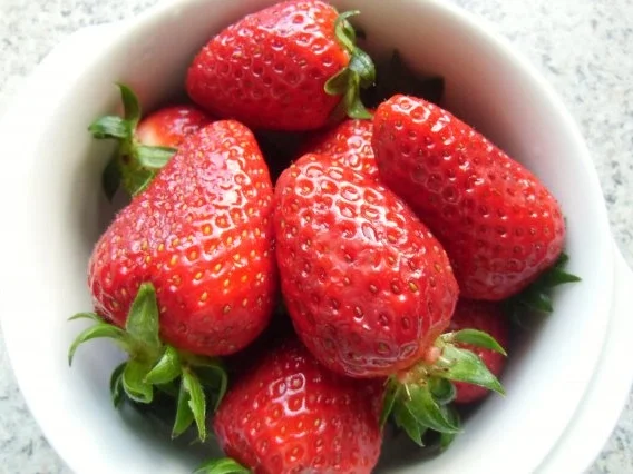 ❤ Käsesahne -Torte ❤ - Rezept - Bild Nr. 25