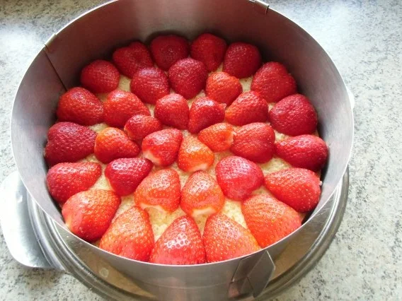 ❤ Käsesahne -Torte ❤ - Rezept - Bild Nr. 11