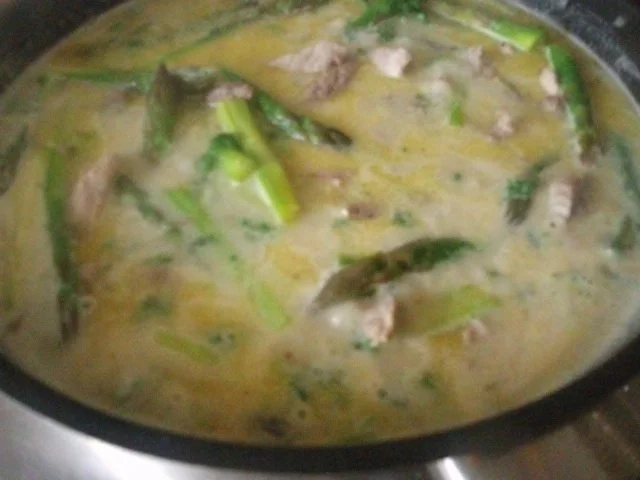 Rezept: Schnitzeltopf mit grünem Spargel Bild Nr. 14 Schnitzeltopf mit grünem Spargel - Rezept - Bild Nr. 14