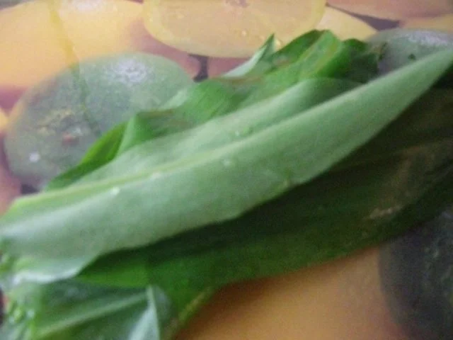 Rezept: Schnitzeltopf mit grünem Spargel Bild Nr. 11 Schnitzeltopf mit grünem Spargel - Rezept - Bild Nr. 11