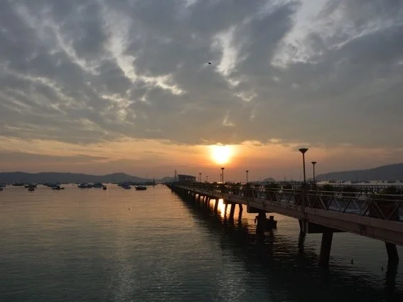 Erdbeer-Rhabarber-Biskuitrolle - Rezept - Bild Nr. 10