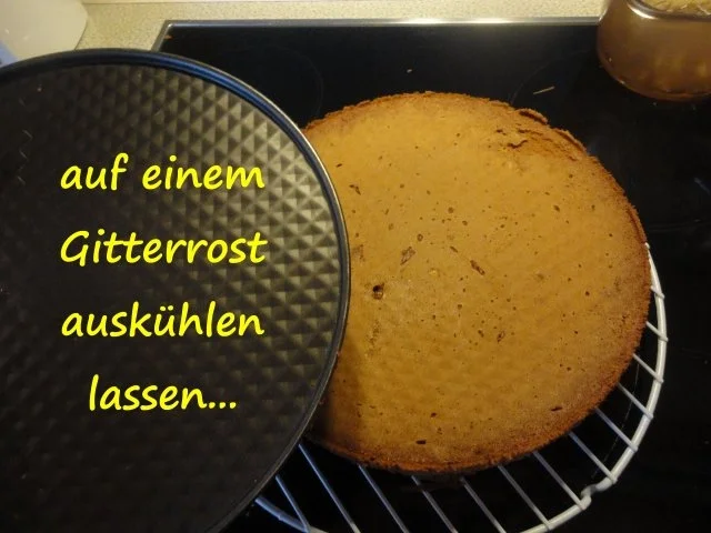 Schnee Torte mit Topfen Obers Frucht Creme - Rezept - Bild Nr. 13