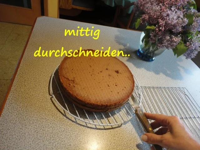 Schnee Torte mit Topfen Obers Frucht Creme - Rezept - Bild Nr. 14