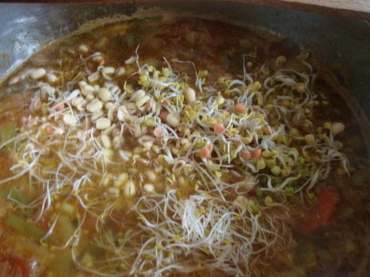 Würzige Gemüsesuppe - Rezept - Bild Nr. 14