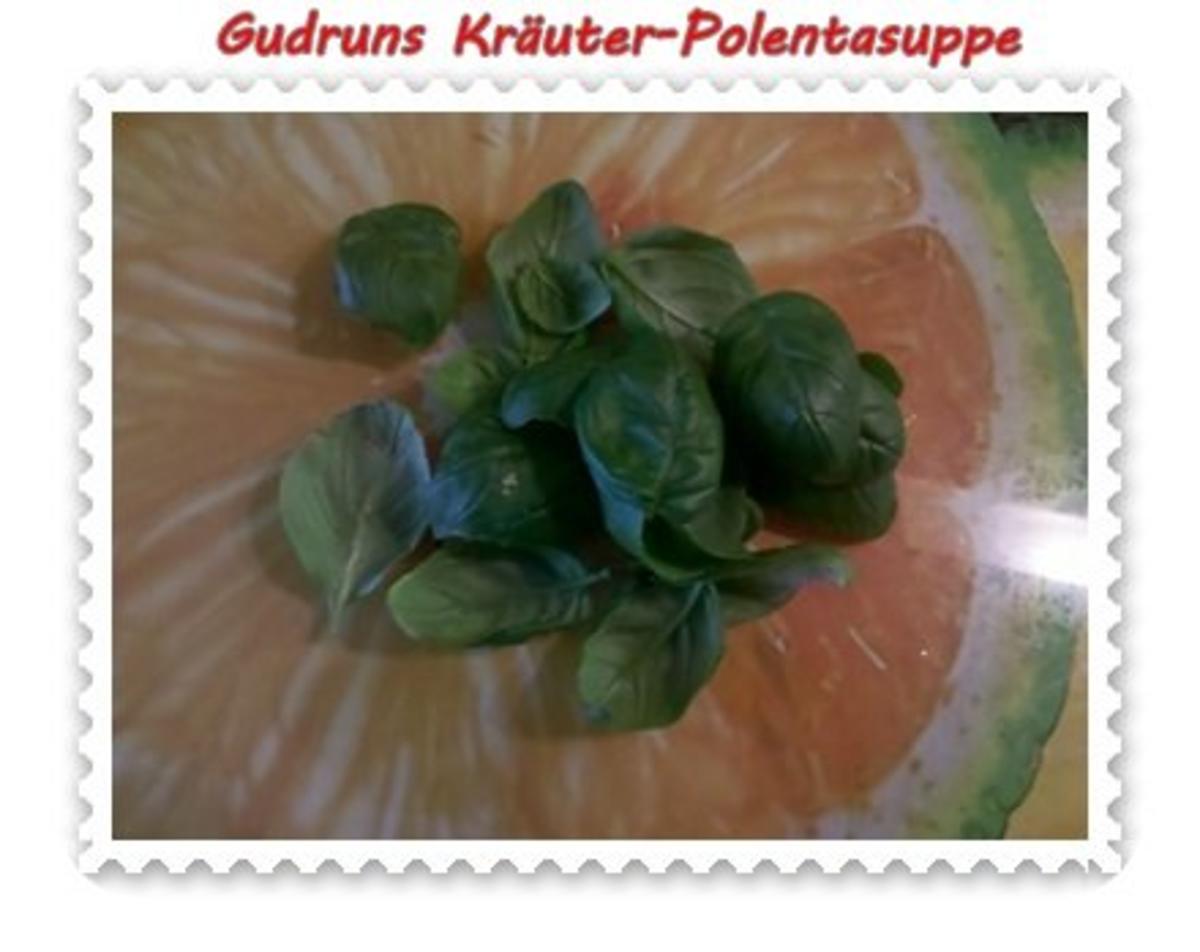 Suppe: Kräuter-Polentasuppe - Rezept - Bild Nr. 7