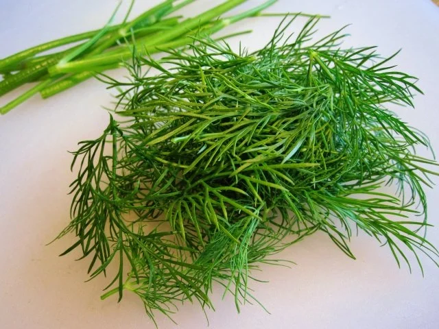 Rezept: Dillsoße mit frischem Dill ... Bild Nr. 2 Dillsoße mit frischem Dill ... - Rezept - Bild Nr. 2