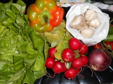 Bunter Salat *Frühlingsgruß* - Rezept - Bild Nr. 2