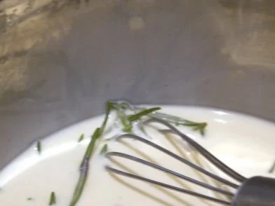 Rosmarin-Parfait mit Karamell-Äpfeln - Rezept - Bild Nr. 4