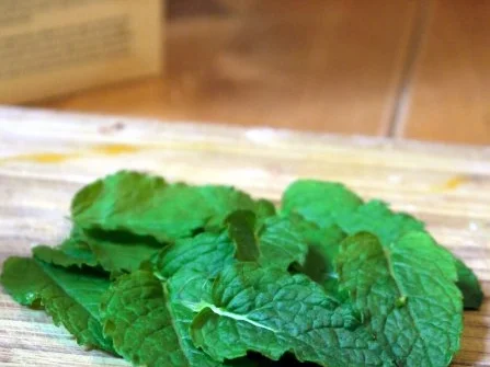 Vert Tarte - Rezept - Bild Nr. 6