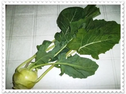 Kohlrabi Cremesuppe mit buntem Gemüsetürmchen - Rezept - Bild Nr. 5