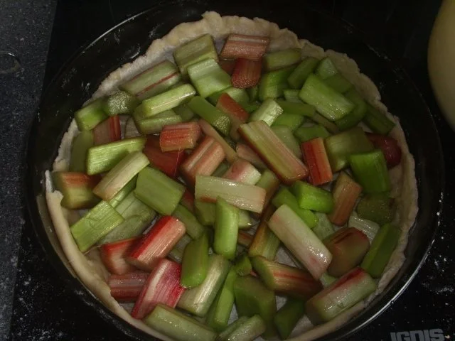 Rhabarber-Pudding Kuchen - Rezept - Bild Nr. 4