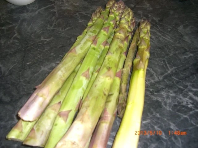 Rezept: grüner Spargel überbacken Bild Nr. 2 grüner Spargel überbacken - Rezept - Bild Nr. 2