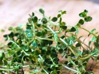 Ofenspargel mit Orangen-Senf-Sauce - Rezept - Bild Nr. 8