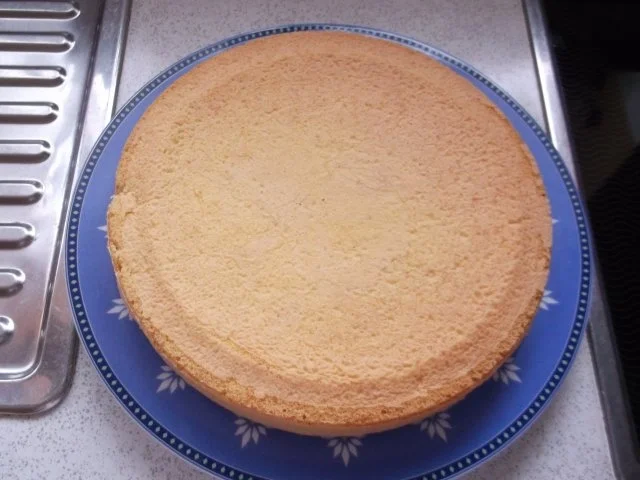 Rezept: Bisquitboden Bisquitboden - Rezept