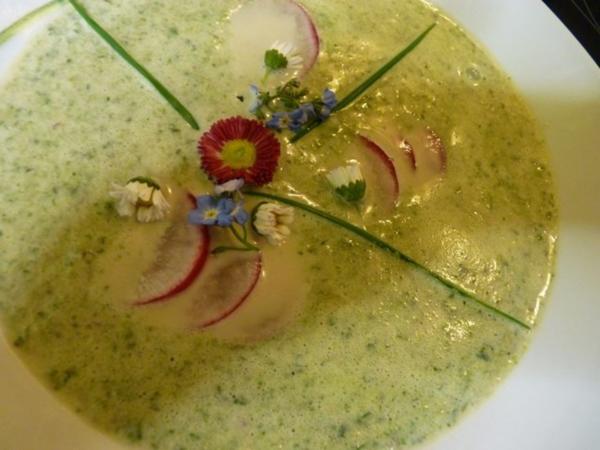 Radieschen-ZitronenMelisse-Suppe mit Gänseblümchen u. Vergißmeinnicht ...