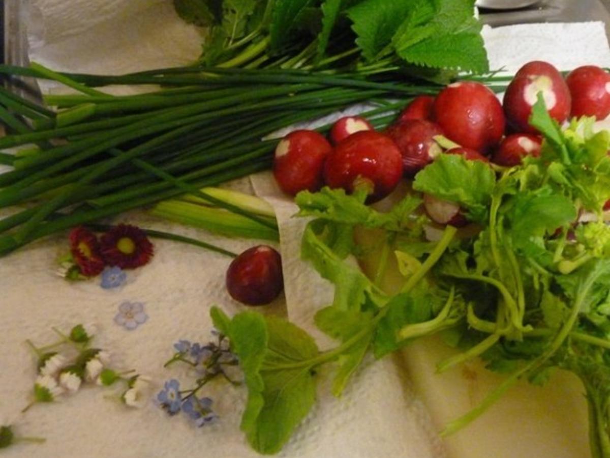 Radieschen-ZitronenMelisse-Suppe mit Gänseblümchen u. Vergißmeinnicht ...