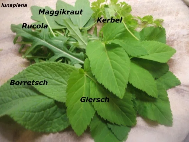 Fleisch: Kräuter-Hackbällchen auf Schmorgemüse - Rezept - Bild Nr. 3