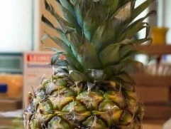 Parmesan-Hähnchen-Nuggets mit Ananas-Chutney - Rezept - Bild Nr. 2