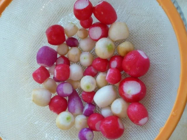 Nur ein Bunter Radieschensalat - Rezept - Bild Nr. 4