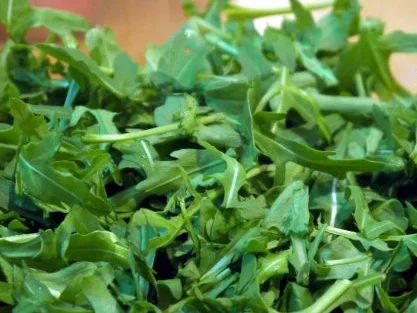 Rezept: Panzanella mit warmen Tomaten Bild Nr. 2 Panzanella mit warmen Tomaten - Rezept - Bild Nr. 2