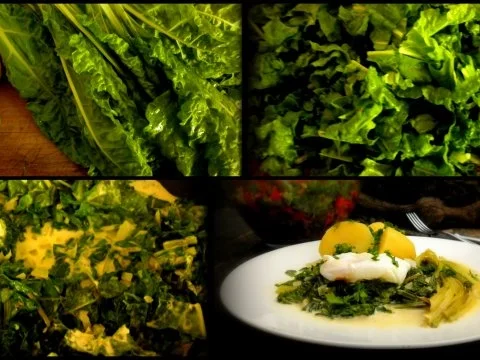 Mangold mit pochiertem Ei - Rezept - Bild Nr. 3