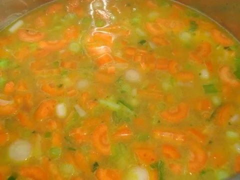 Rezept: Möhren - Orangensüppchen mit "Pfiff" Bild Nr. 7 Möhren - Orangensüppchen mit "Pfiff" - Rezept - Bild Nr. 7