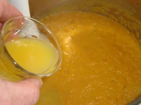 Rezept: Möhren - Orangensüppchen mit "Pfiff" Bild Nr. 14 Möhren - Orangensüppchen mit "Pfiff" - Rezept - Bild Nr. 14