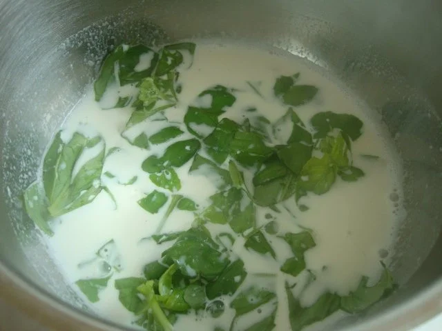 Rezept: Tomatensüppchen mit Basilikumschaum Topping Bild Nr. 12 Tomatensüppchen mit Basilikumschaum Topping - Rezept - Bild Nr. 12