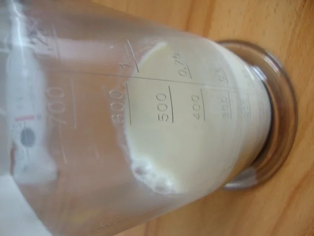 Steinpilzsüppchen mit "Balsamico Schaum" Topping - Rezept - Bild Nr. 13