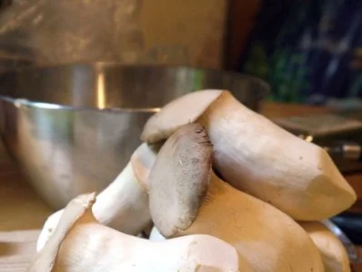 Rezept: Kräuterseitlings-Quiche Bild Nr. 4 Kräuterseitlings-Quiche - Rezept - Bild Nr. 4