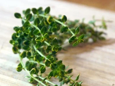 Rezept: Kräuterseitlings-Quiche Bild Nr. 8 Kräuterseitlings-Quiche - Rezept - Bild Nr. 8