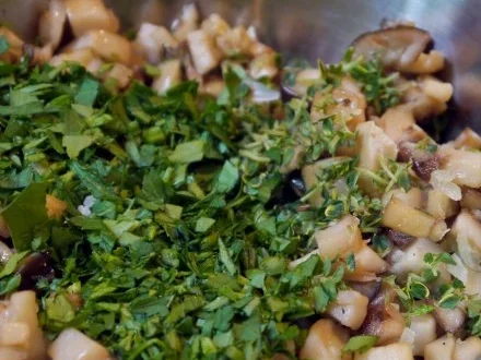 Rezept: Kräuterseitlings-Quiche Bild Nr. 9 Kräuterseitlings-Quiche - Rezept - Bild Nr. 9