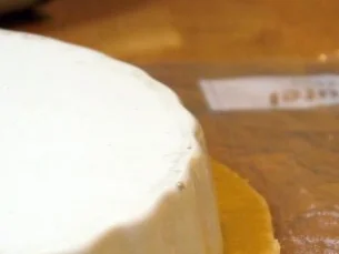 Rezept: Kräuterseitlings-Quiche Bild Nr. 10 Kräuterseitlings-Quiche - Rezept - Bild Nr. 10