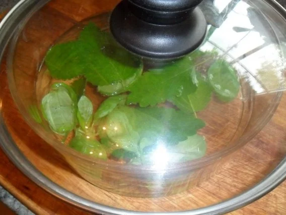 Rezept: mein pfingstwässerchen Bild Nr. 5 mein pfingstwässerchen - Rezept - Bild Nr. 5