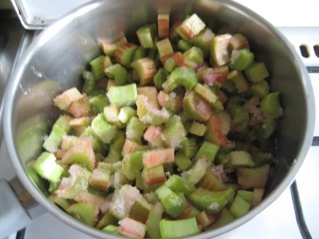 Rhabarber Joghurtschnitten - Rezept - Bild Nr. 9