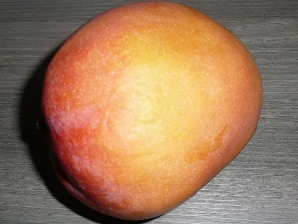 Rezept: I ♥ Mango Bild Nr. 2 I ♥ Mango - Rezept - Bild Nr. 2