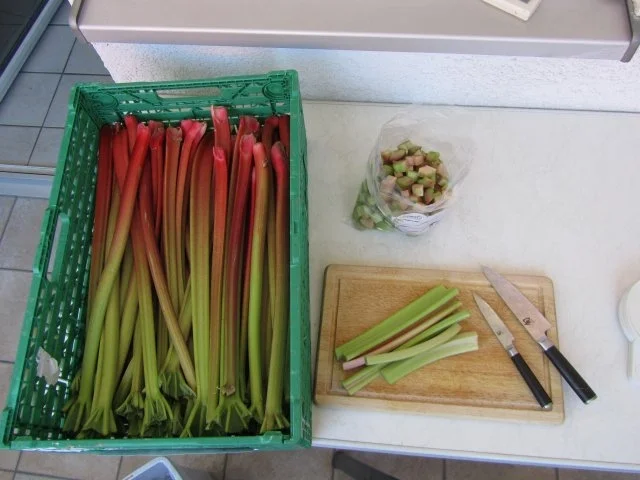 Rezept: Rhabarber-Kuchen mit Nuß-Eiweiß-Decke Bild Nr. 3 Rhabarber-Kuchen mit Nuß-Eiweiß-Decke - Rezept - Bild Nr. 3