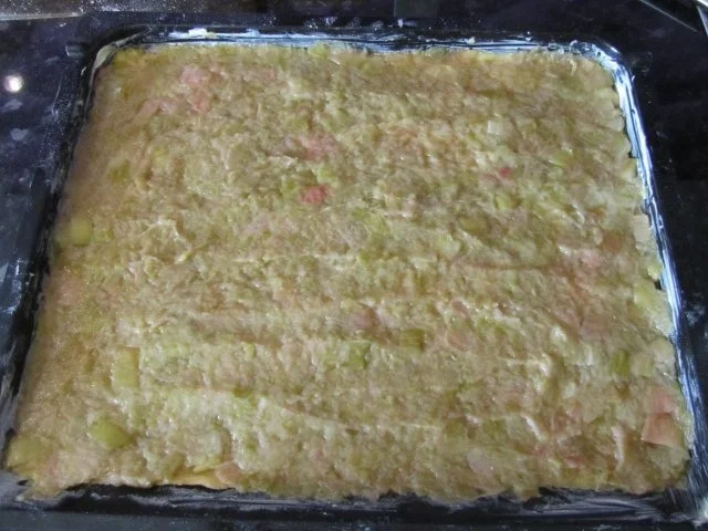 Rezept: Rhabarber-Kuchen mit Nuß-Eiweiß-Decke Bild Nr. 8 Rhabarber-Kuchen mit Nuß-Eiweiß-Decke - Rezept - Bild Nr. 8