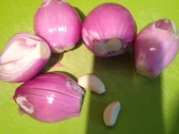 Ingwer-Tomaten Suppe - Rezept - Bild Nr. 4